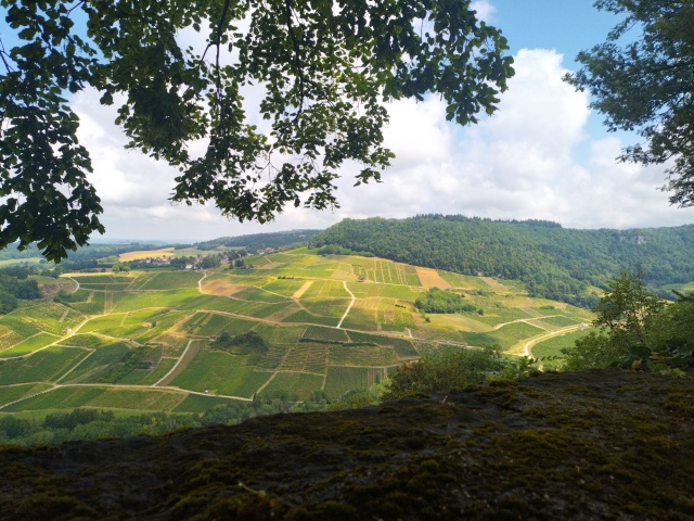 Autre photo illustrant l'affaire réf. 39AC12541, Bar