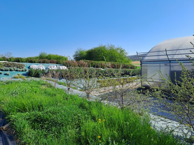 Autre photo illustrant l'affaire réf. 70AH14735, Jardin aquaponique et ou production et vente horticole