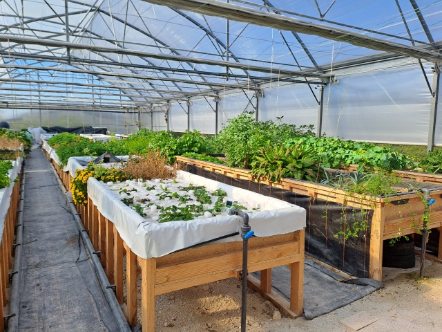 Autre photo illustrant l'affaire réf. 70AH14735, Jardin aquaponique et ou production et vente horticole