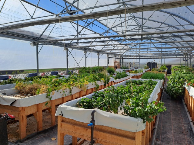 Autre photo illustrant l'affaire réf. 70AH14735, Jardin aquaponique et ou production et vente horticole