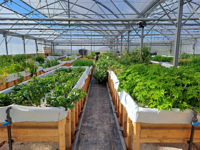 Autre photo illustrant l'affaire réf. 70AH14735, Jardin aquaponique et ou production et vente horticole