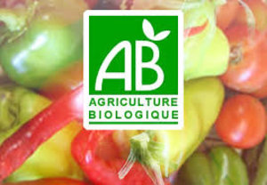 Photo illustrant l'affaire réf. 66XA12508, Alimentation générale bio